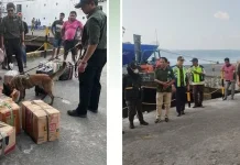 BKSDA Maluku Uji Coba Anjing Pelacak Satwa
