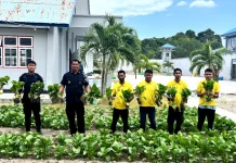 Hasil Nyata Ketahanan Pangan, Warga Binaan Lapas Namlea Puluhan Ikat Sawit