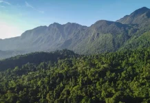 Gubernur Maluku Fasilitasi Penyelesaian Tapal Batas Taman Nasional Manusela