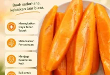 Manfaat buah pepaya bagi kesehatan Tubuh
