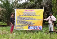 Sengketa Kebun Sawit, Ahli Waris Polisikan Penjaga Lahan