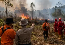 BMKG Keluarkan Peringatan Dini Potensi Karhutla di Maluku
