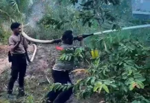 Polisi Berhasil Padamkan Tiga Titik Karhutla di SBB