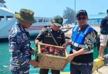 Karantina Maluku Gagalkan Penyelundupan Puluhan Nuri Ilegal