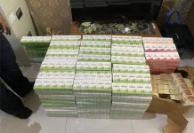 Bea Cukai Ambon Gagalkan Peredaran 287 Ribu Batang Rokok Ilegal