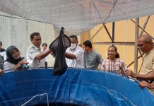 Lembaga Asa Daya Bangsa Bekali Anak Keterampilan Usaha
