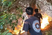 Hotspot Karhutla Menurun di Maluku, Tetap Waspadai Puncak Kemarau September 2026