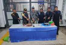Razia Insidentil di Blok Narkoba Lapas Ambon, Petugas Amankan Barang Terlarang