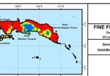 BMKG Ingatkan Potensi Karhutla di Maluku