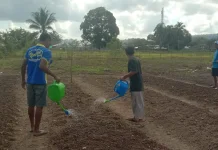 Program Ketahanan Pangan Digenjot Rutan Masohi