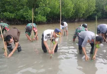 Lapas Wahai Dukung Pelestarian Lingkungan,Tanam Mangrove bersama TNI