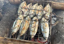 Kawalinya, Ikan Pelagis yang Penting bagi Masyarakat Pesisir Maluku