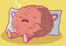 Otak Tetap Aktif saat Kita Tidur