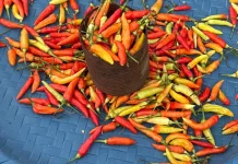 Harga Cabai Rawit di Pasar Mardika Ambon Melambung