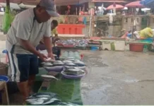 Harga Ikan dan Sayur di Ambon Fluktuatif, Pasokan Bergantung Leihitu dan Seram