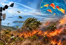 Data BMKG: Angin Kencang Pemicu Cepatnya Penyebaran Api di Hutan Maluku