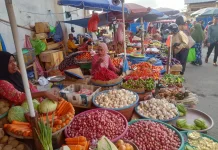 Stok Cabai di Ambon Dipasok dari Sejumlah Sentra Produksi