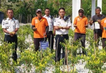 Produktif ditengah Kemarau,Lapas Namlea Sukses Panen Cabai Rawit