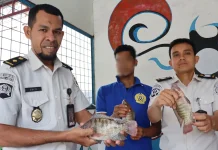 Kemandirian Pangan,Lapas Ambon Panen Ikan Nila Hasil Pembinaan Warga Binaan