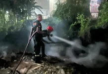 Damkar Ambon Sigap Padamkan Kebakaran Sampah di Wayame