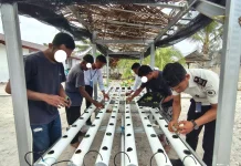Gandeng Peserta Magang, Warga Binaan Lapas Geser Pelajari Budidaya Pakcoy