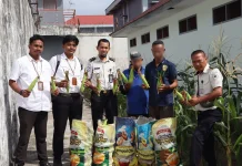 Hasil Nyata Pembinaan, Lapas Ambon Panen 50 Kilogram Jagung