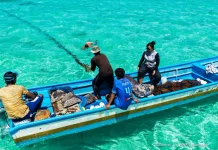 WWF Indonesia dan Dinas Perikanan MBD Kembangkan Budidaya Rumput Laut