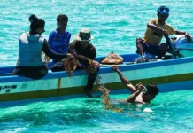 Pembudidaya Rumput Laut di Luang Barat MBD Didorong Mandiri Bibit
