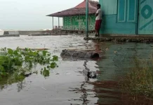 Bappenas: Hadapi Kenaikan Muka Air Laut, Pempus dan Pemda Perlu Bersinergi