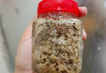 Manfaat Garam dan Daun Kelor yang Sudah Diracik untuk Mandi