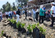 Menanam Mangrove, Membibit Karang, Merawat Alam Hila