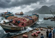 Pasokan Bawang ke Maluku Terkendala Cuaca dan Distribusi