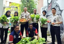Lapas Wahai Panen Sawi Hidroponik & Tomat Apel, Ruang Belajar bagi Peserta Magang