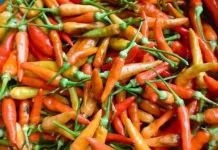 Pantauan Harga Bahan Pokok Kota Ambon Awal Oktober