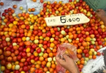 Harga Tomat di Pasar Mardika Ambon Murah