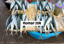 Harga Ikan di Pasar Mardika Awal Oktober Mulai Terjangkau