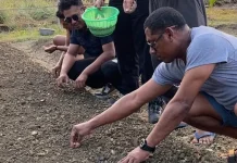 Rutan Masohi Lanjutkan Penanaman Kacang Tanah Tahap Tiga di Lahan SAE