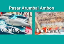 Harga Ikan Cakalang dan Ikan Asin Variatif di Pasar Arumbai Ambon