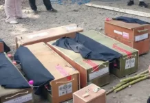 BKSDA Maluku Terima 58 Satwa Hasil Penyelamatan