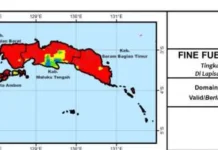 Potensi Karhutla Maluku Berada di Level Waspada