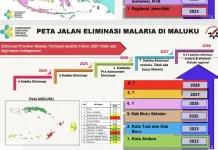 Empat Daerah Sudah Eliminasi, Maluku Targetkan Bebas Kasus Lokal pada 2028