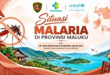 Maluku Targetkan Tak Ada Lagi Kasus Malaria Lokal pada 2028