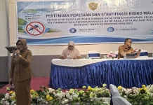 Mobilitas Antar pulau Jadi Tantangan Pengendalian Malaria di Maluku