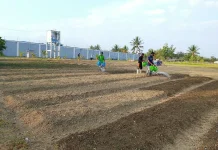 Rutan Masohi Asah Disiplin & Kemandirian Warga Binaan