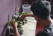 Salurkan Bakat dan Kreatifitas, Warga Binaan Buatkan Aquascape