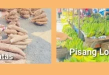 Harga Pangan Lokal di Pasar Mardika Ambon Terjangkau dan Diminati Banyak Pembeli