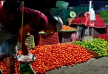 Harga Pangan Maluku Bergerak Dinamis, Distribusi Jadi Sorotan