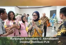 PLN Perkuat Pemerataan Akses Listrik di Maluku dan Maluku Utara