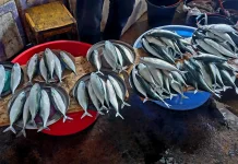 Akhir Pekan, Pasar Mardika Ambon Kembali Ramai Aktivitas