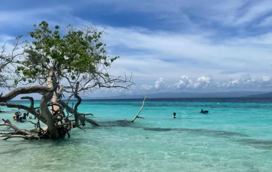 Wisatawan Puji Keindahan Pantai Liang, Kebersihan Ditingkatkan